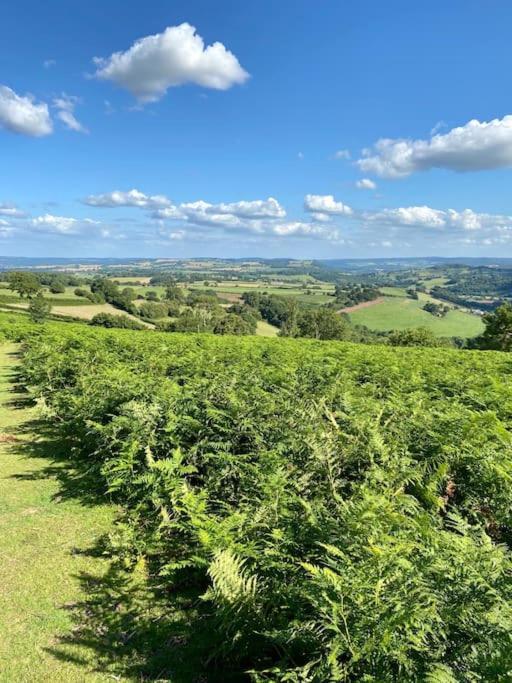 The Mill Stylish Rural Apartment With Beautiful Views Welsh Newton Common 외부 사진