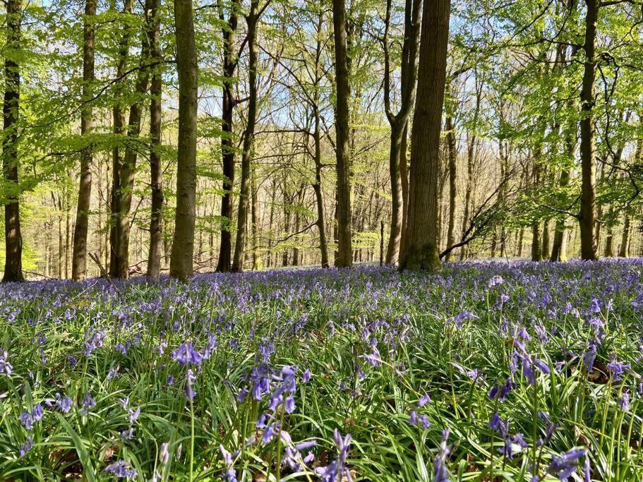 The Mill Stylish Rural Apartment With Beautiful Views Welsh Newton Common 외부 사진