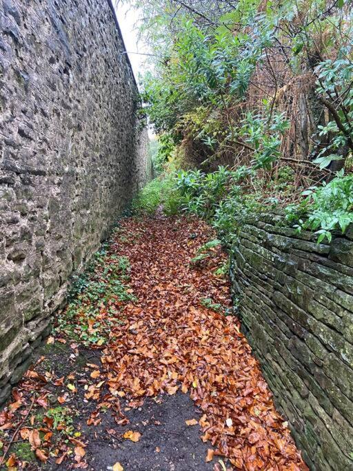 The Mill Stylish Rural Apartment With Beautiful Views Welsh Newton Common 외부 사진