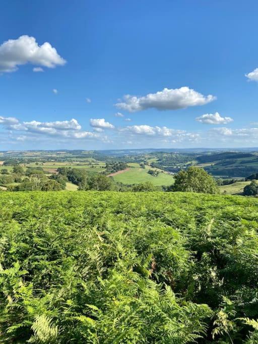 The Mill Stylish Rural Apartment With Beautiful Views Welsh Newton Common 외부 사진